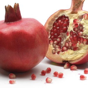 Shofar and pomegranates, isolated