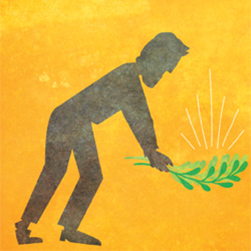 hoshanah-rabbah | Temple Emanu-El of Palm Beach