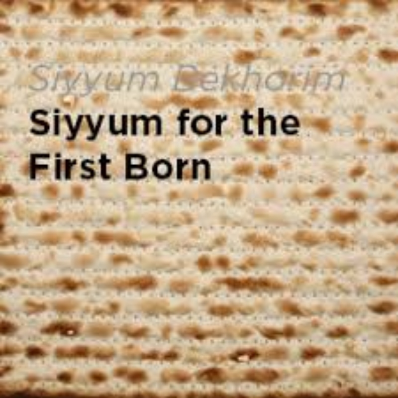 Siyyum for Firstborns via Zoom Temple EmanuEl Jewish Synagogue in