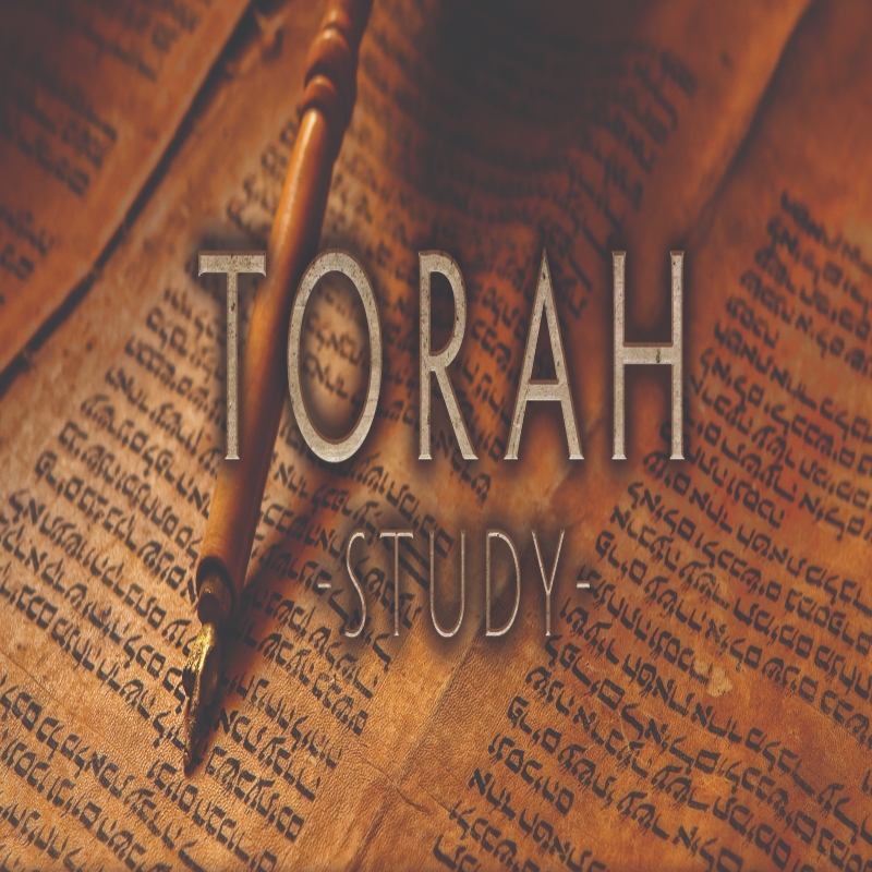 Torah Study via Zoom