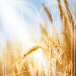 Second Day of Shavuot/Yizkor