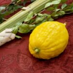 Sukkot Day 1