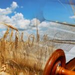 Shavuot Day 1 Services