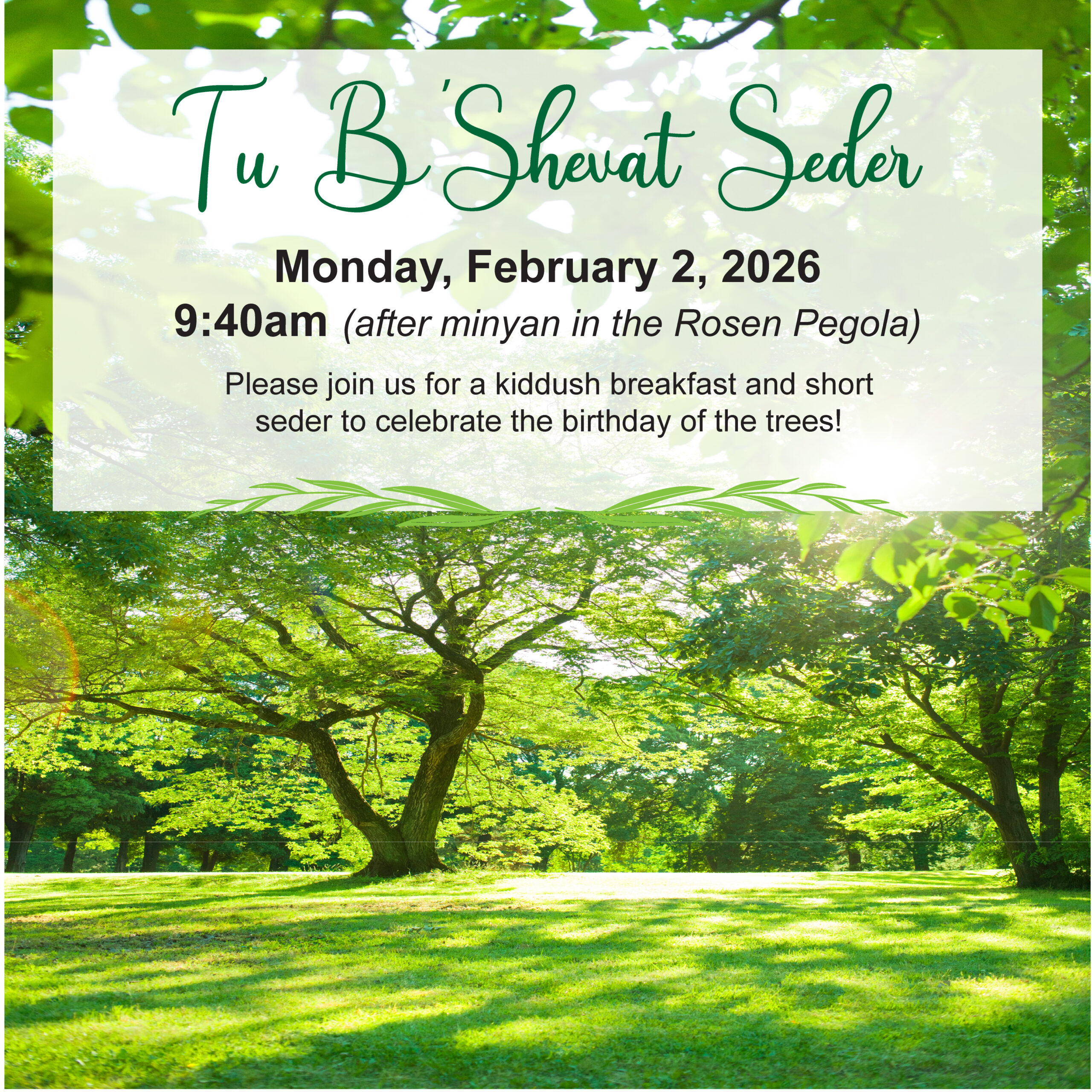 Tu B'Shevat Seder