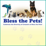 Bless the Pets